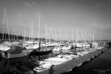 Riverside Marina Boats